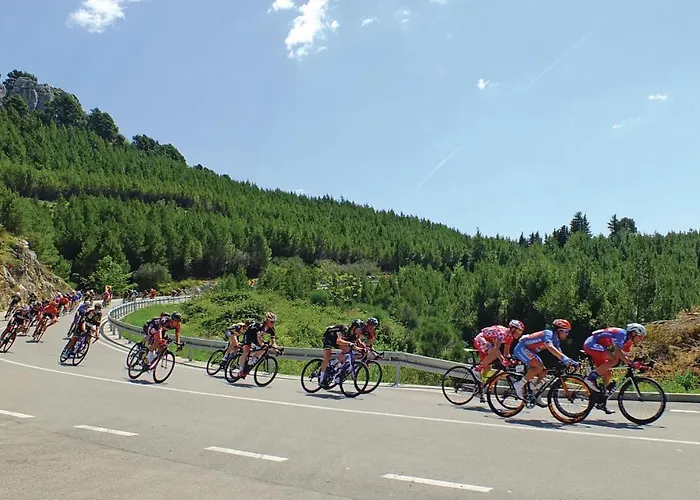 One-bedroom In 马卡尔斯卡